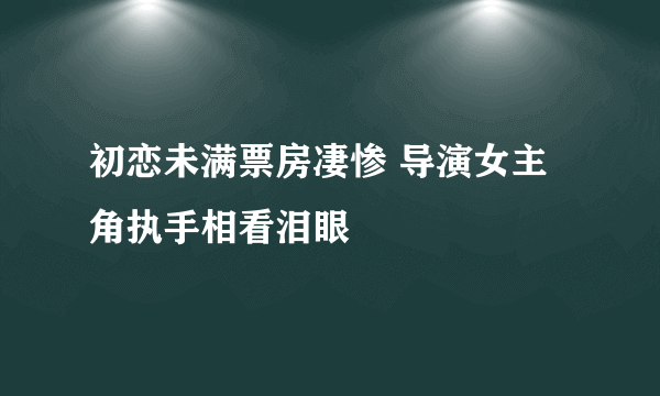 初恋未满票房凄惨 导演女主角执手相看泪眼