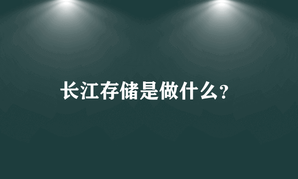 长江存储是做什么？