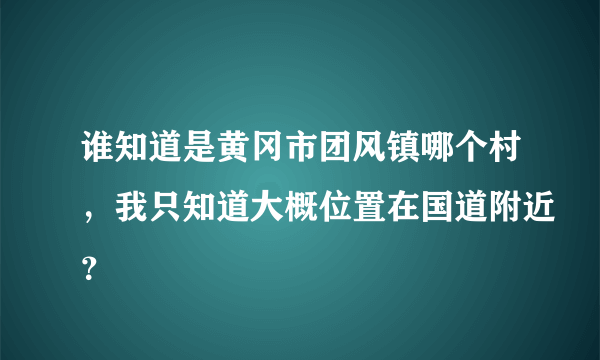 谁知道是黄冈市团风镇哪个村，我只知道大概位置在国道附近？