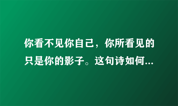 你看不见你自己，你所看见的只是你的影子。这句诗如何理解呢？谢谢