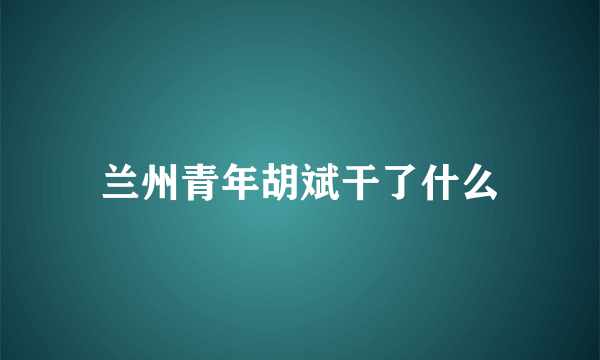 兰州青年胡斌干了什么