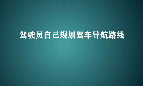 驾驶员自己规划驾车导航路线