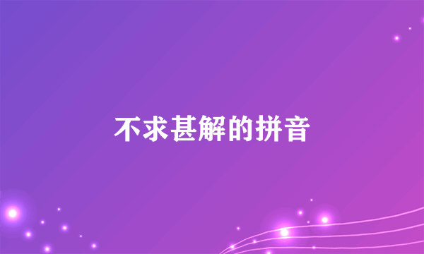 不求甚解的拼音