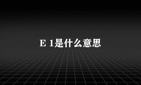 E 1是什么意思