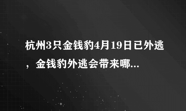 杭州3只金钱豹4月19日已外逃，金钱豹外逃会带来哪些风险？