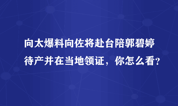 向太爆料向佐将赴台陪郭碧婷待产并在当地领证，你怎么看？