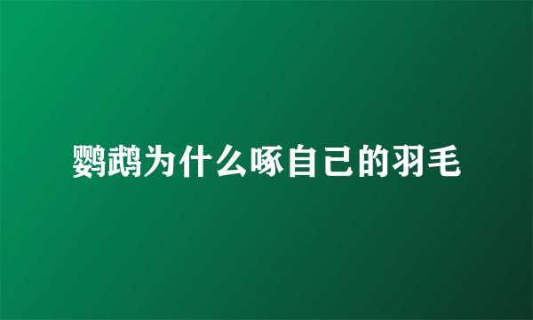 鹦鹉为什么啄自己的羽毛