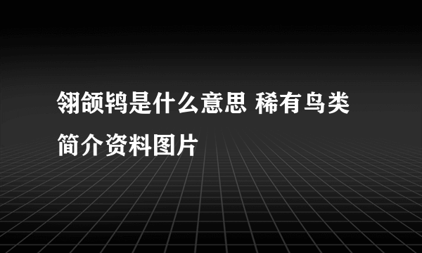 翎颌鸨是什么意思 稀有鸟类简介资料图片