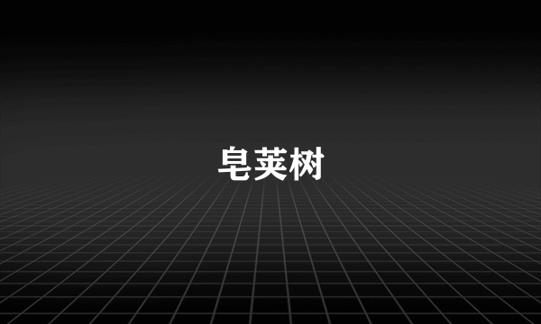 皂荚树