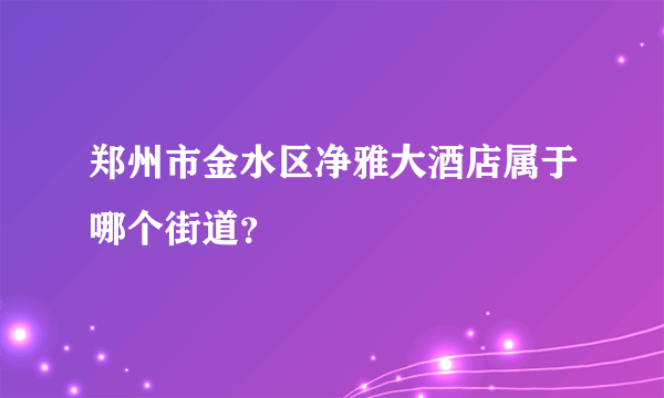 郑州市金水区净雅大酒店属于哪个街道？