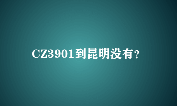 CZ3901到昆明没有？