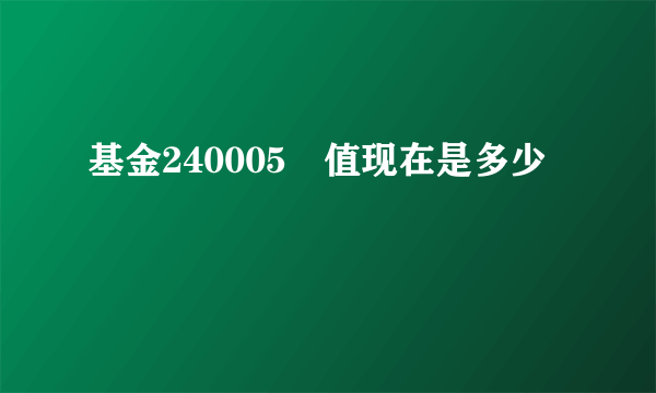 基金240005淨值现在是多少