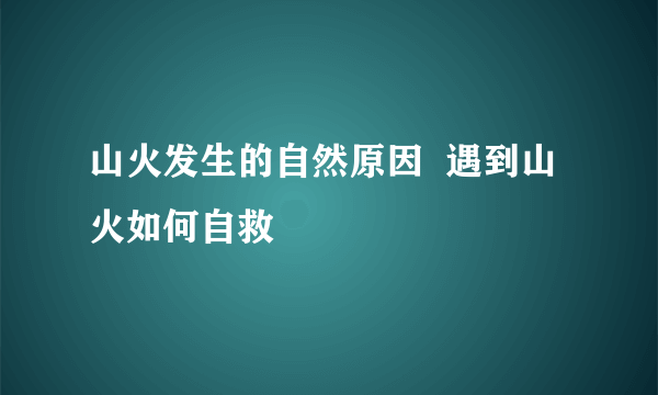 山火发生的自然原因  遇到山火如何自救