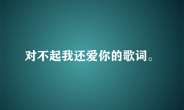 对不起我还爱你的歌词。