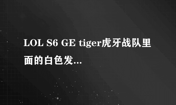 LOL S6 GE tiger虎牙战队里面的白色发型的队员的发色是叫什么颜色