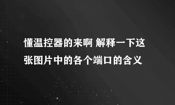 懂温控器的来啊 解释一下这张图片中的各个端口的含义