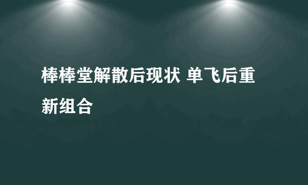 棒棒堂解散后现状 单飞后重新组合