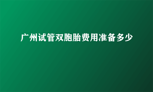 广州试管双胞胎费用准备多少