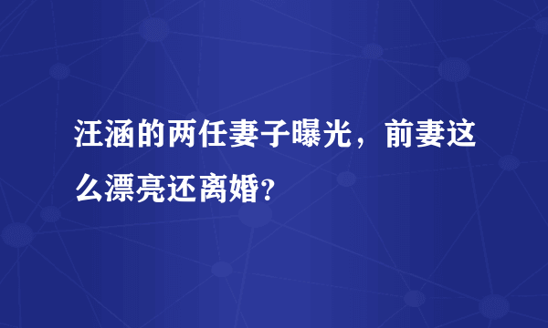 汪涵的两任妻子曝光，前妻这么漂亮还离婚？