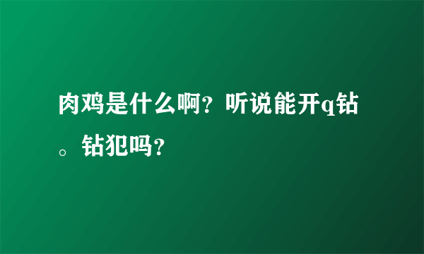 肉鸡是什么啊？听说能开q钻。钻犯吗？