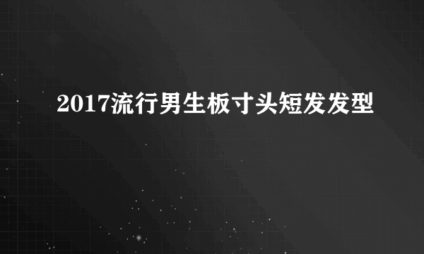 2017流行男生板寸头短发发型