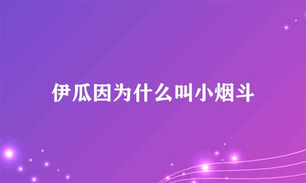 伊瓜因为什么叫小烟斗