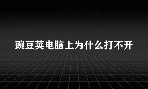 豌豆荚电脑上为什么打不开