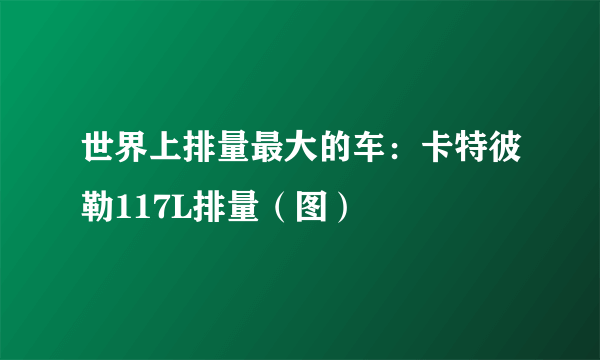 世界上排量最大的车：卡特彼勒117L排量（图）