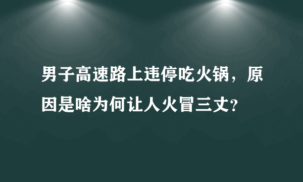 男子高速路上违停吃火锅，原因是啥为何让人火冒三丈？