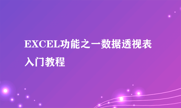 EXCEL功能之一数据透视表入门教程