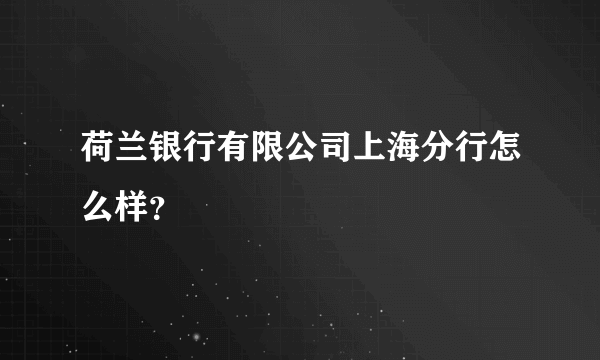 荷兰银行有限公司上海分行怎么样？