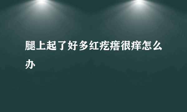 腿上起了好多红疙瘩很痒怎么办