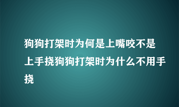 狗狗打架时为何是上嘴咬不是上手挠狗狗打架时为什么不用手挠