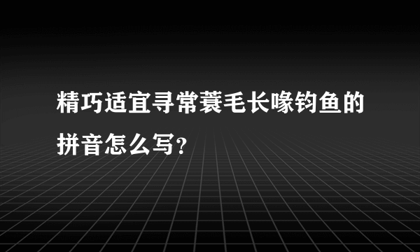 精巧适宜寻常蓑毛长喙钧鱼的拼音怎么写？