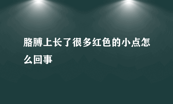 胳膊上长了很多红色的小点怎么回事