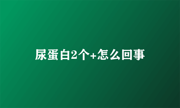 尿蛋白2个+怎么回事