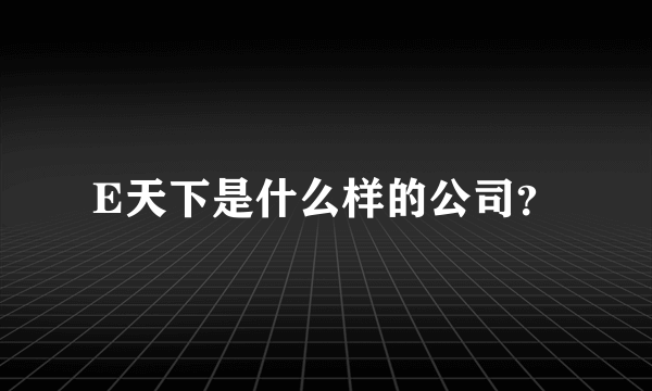 E天下是什么样的公司？