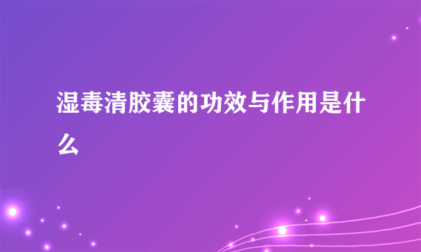 湿毒清胶囊的功效与作用是什么