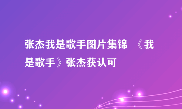 张杰我是歌手图片集锦  《我是歌手》张杰获认可