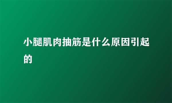 小腿肌肉抽筋是什么原因引起的