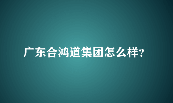 广东合鸿道集团怎么样？