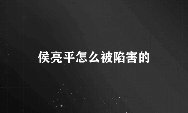 侯亮平怎么被陷害的