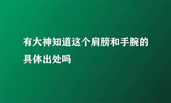 有大神知道这个肩膀和手腕的具体出处吗