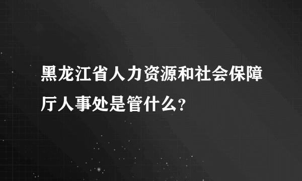 黑龙江省人力资源和社会保障厅人事处是管什么？