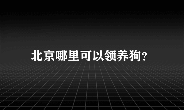 北京哪里可以领养狗？