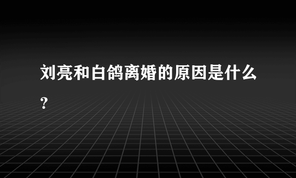 刘亮和白鸽离婚的原因是什么？