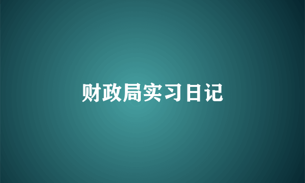 财政局实习日记