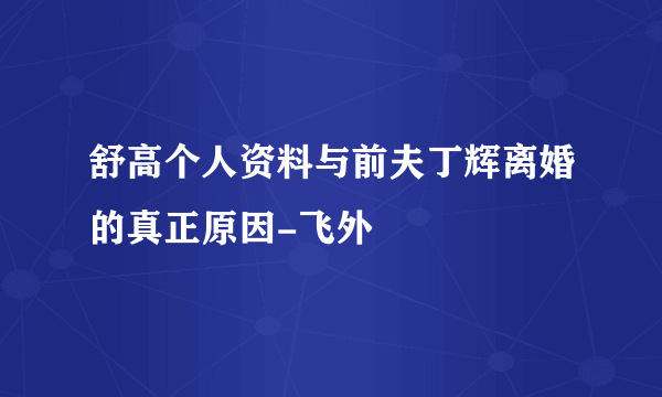 舒高个人资料与前夫丁辉离婚的真正原因-飞外