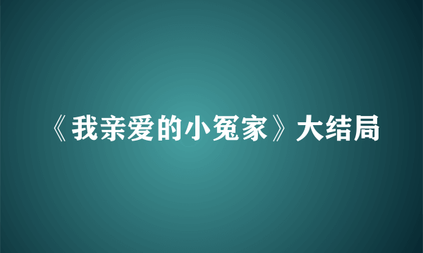 《我亲爱的小冤家》大结局