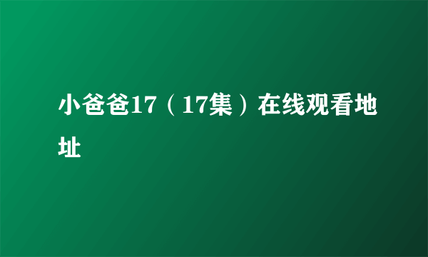 小爸爸17（17集）在线观看地址